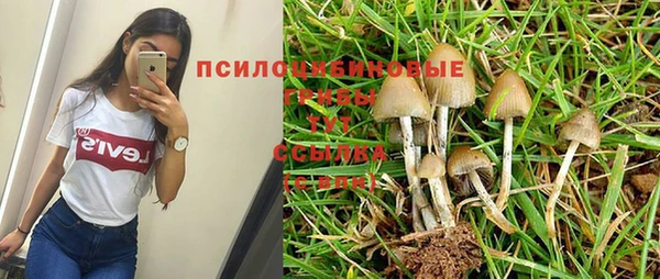 PSILOCYBIN Балахна